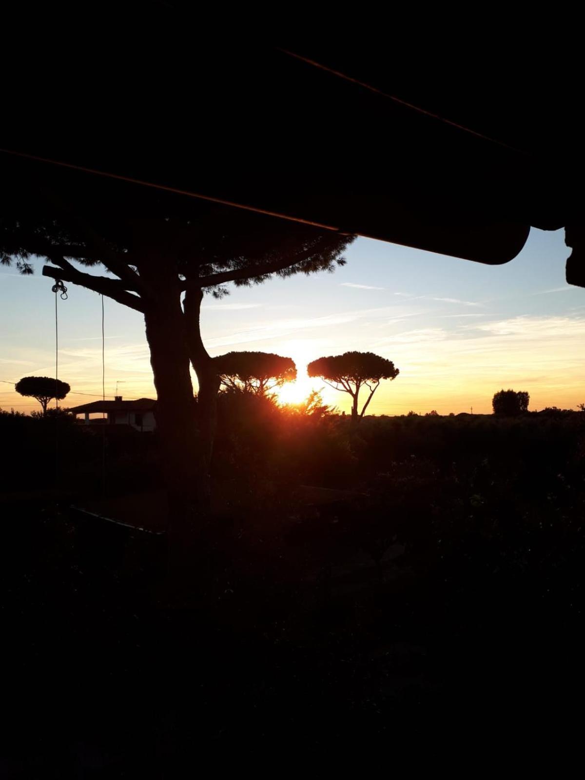 Podere Serena Castagneto Carducci Exterior photo