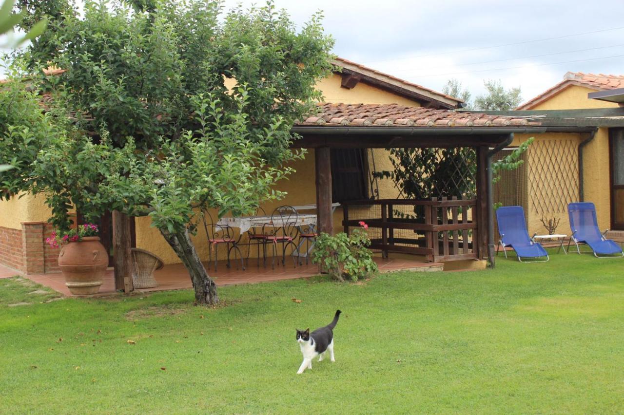 Podere Serena Castagneto Carducci Exterior photo